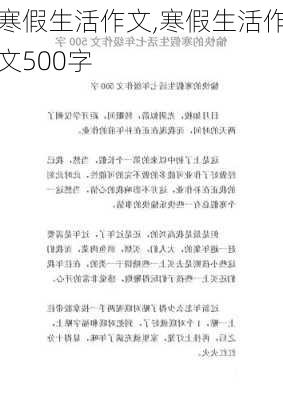 寒假生活作文,寒假生活作文500字-第3张图片-星梦范文网