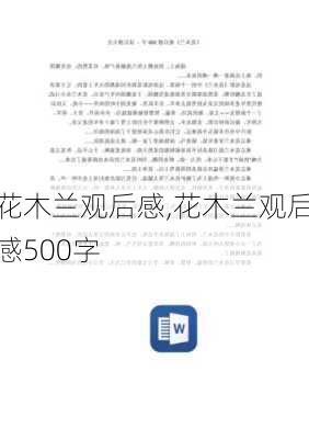 花木兰观后感,花木兰观后感500字-第3张图片-星梦范文网