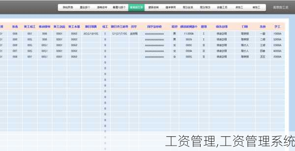 工资管理,工资管理系统-第3张图片-星梦范文网