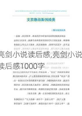 亮剑小说读后感,亮剑小说读后感1000字-第2张图片-星梦范文网