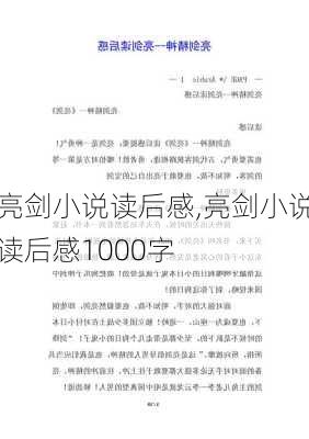 亮剑小说读后感,亮剑小说读后感1000字-第3张图片-星梦范文网