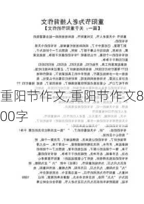 重阳节作文,重阳节作文800字-第3张图片-星梦范文网