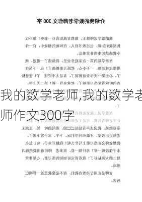 我的数学老师,我的数学老师作文300字-第2张图片-星梦范文网