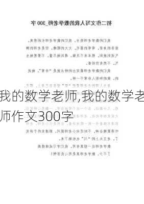 我的数学老师,我的数学老师作文300字-第3张图片-星梦范文网