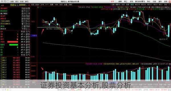 证券投资基本分析,股票分析-第3张图片-星梦范文网