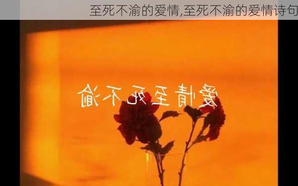 至死不渝的爱情,至死不渝的爱情诗句-第3张图片-星梦范文网