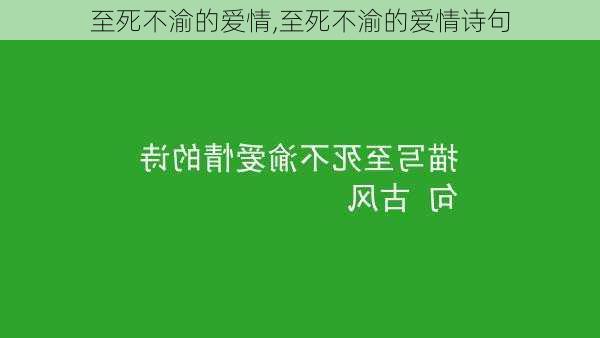 至死不渝的爱情,至死不渝的爱情诗句-第2张图片-星梦范文网