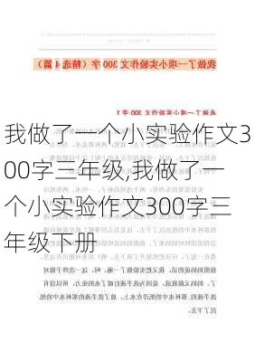 我做了一个小实验作文300字三年级,我做了一个小实验作文300字三年级下册-第3张图片-星梦范文网