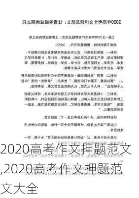 2020高考作文押题范文,2020高考作文押题范文大全-第1张图片-星梦范文网