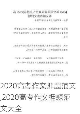 2020高考作文押题范文,2020高考作文押题范文大全-第3张图片-星梦范文网