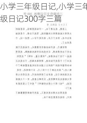 小学三年级日记,小学三年级日记300字三篇-第3张图片-星梦范文网