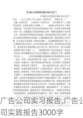 广告公司实习报告,广告公司实践报告3000字-第1张图片-星梦范文网