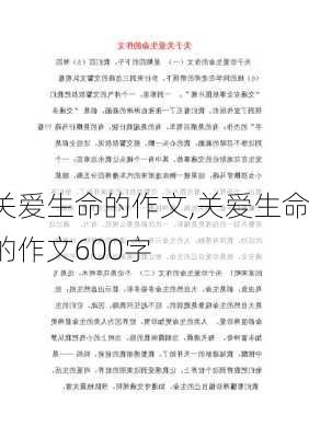 关爱生命的作文,关爱生命的作文600字-第2张图片-星梦范文网