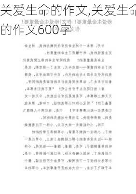 关爱生命的作文,关爱生命的作文600字-第1张图片-星梦范文网