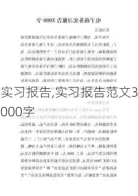 实习报告,实习报告范文3000字-第3张图片-星梦范文网