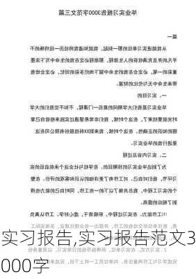 实习报告,实习报告范文3000字-第2张图片-星梦范文网