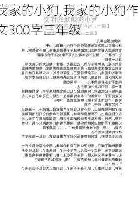 我家的小狗,我家的小狗作文300字三年级-第3张图片-星梦范文网