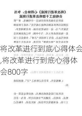 将改革进行到底心得体会,将改革进行到底心得体会800字