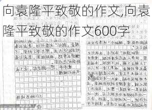 向袁隆平致敬的作文,向袁隆平致敬的作文600字