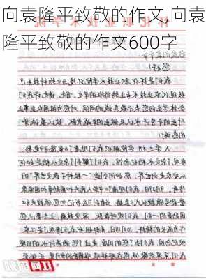 向袁隆平致敬的作文,向袁隆平致敬的作文600字-第2张图片-星梦范文网