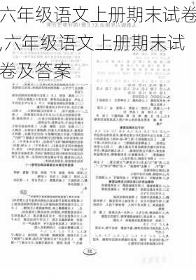 六年级语文上册期末试卷,六年级语文上册期末试卷及答案-第3张图片-星梦范文网