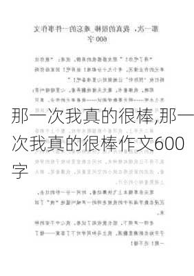 那一次我真的很棒,那一次我真的很棒作文600字-第2张图片-星梦范文网