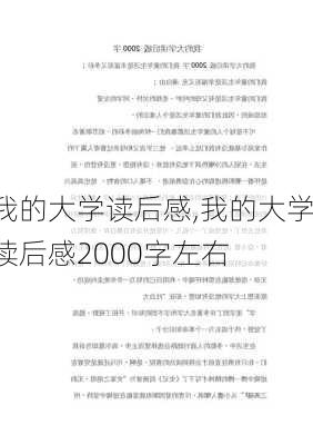 我的大学读后感,我的大学读后感2000字左右