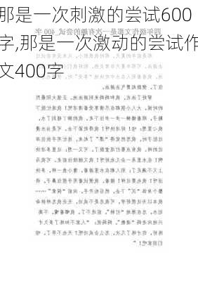 那是一次刺激的尝试600字,那是一次激动的尝试作文400字-第2张图片-星梦范文网