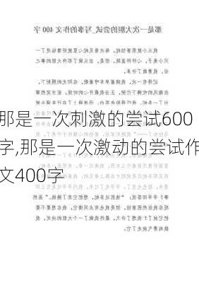 那是一次刺激的尝试600字,那是一次激动的尝试作文400字-第3张图片-星梦范文网