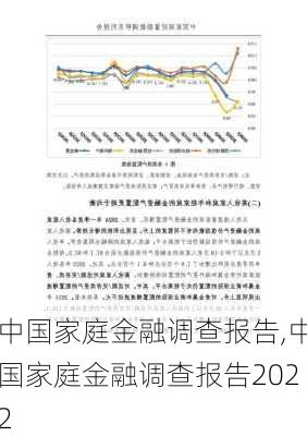 中国家庭金融调查报告,中国家庭金融调查报告2022-第1张图片-星梦范文网