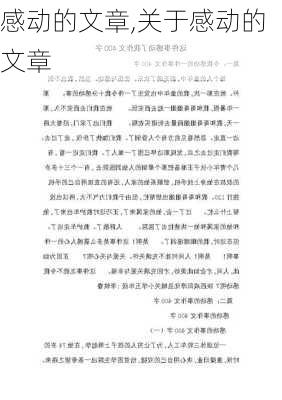 感动的文章,关于感动的文章