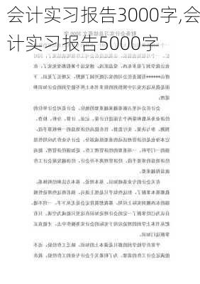 会计实习报告3000字,会计实习报告5000字