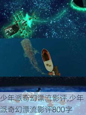 少年派奇幻漂流影评,少年派奇幻漂流影评800字-第3张图片-星梦范文网