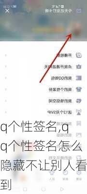 q个性签名,qq个性签名怎么隐藏不让别人看到-第3张图片-星梦范文网