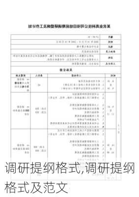 调研提纲格式,调研提纲格式及范文-第2张图片-星梦范文网