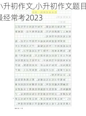 小升初作文,小升初作文题目最经常考2023-第3张图片-星梦范文网