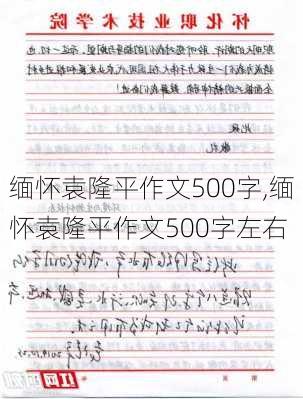 缅怀袁隆平作文500字,缅怀袁隆平作文500字左右-第3张图片-星梦范文网