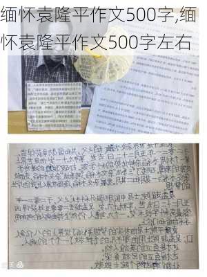 缅怀袁隆平作文500字,缅怀袁隆平作文500字左右-第2张图片-星梦范文网