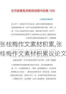 张桂梅作文素材积累,张桂梅作文素材积累议论文