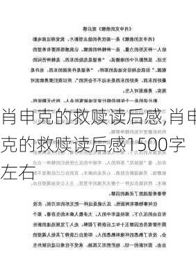 肖申克的救赎读后感,肖申克的救赎读后感1500字左右-第2张图片-星梦范文网