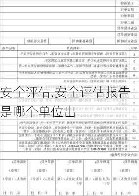 安全评估,安全评估报告是哪个单位出-第3张图片-星梦范文网