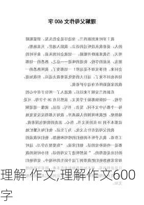 理解 作文,理解作文600字-第2张图片-星梦范文网