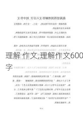 理解 作文,理解作文600字-第3张图片-星梦范文网