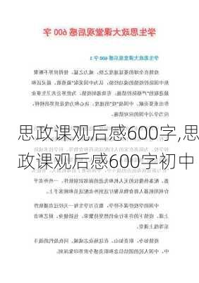 思政课观后感600字,思政课观后感600字初中-第2张图片-星梦范文网