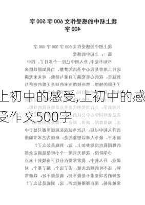 上初中的感受,上初中的感受作文500字