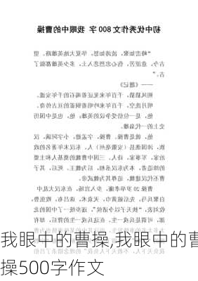 我眼中的曹操,我眼中的曹操500字作文-第3张图片-星梦范文网