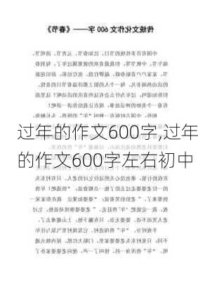 过年的作文600字,过年的作文600字左右初中-第2张图片-星梦范文网