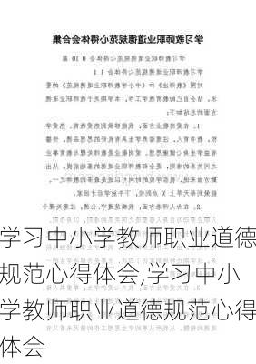 学习中小学教师职业道德规范心得体会,学习中小学教师职业道德规范心得体会-第2张图片-星梦范文网