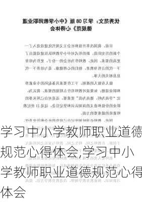 学习中小学教师职业道德规范心得体会,学习中小学教师职业道德规范心得体会-第3张图片-星梦范文网