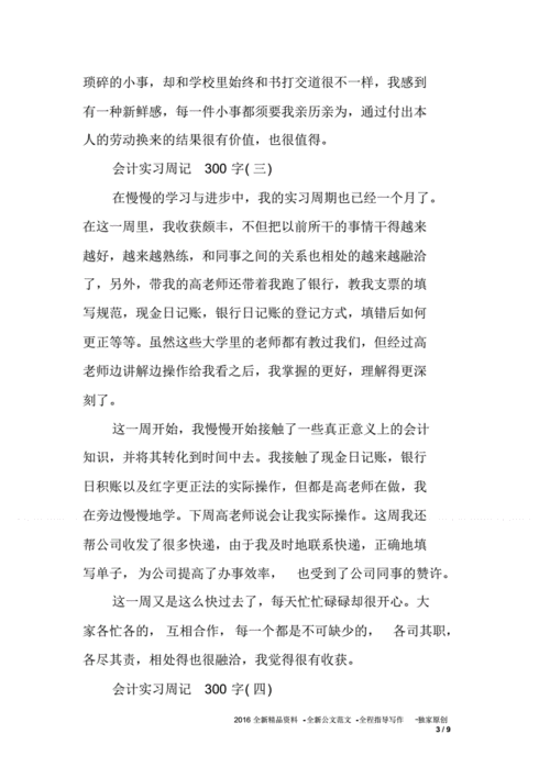 会计事务所实习周记,会计师事务所周记-第2张图片-星梦范文网